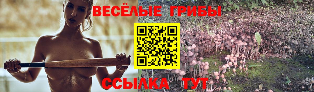 Псилоцибиновые грибы ЛСД Шадринск